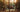 WINTER REDWOOD FIELD LAB 2019