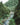 Mountain Forest Landscape